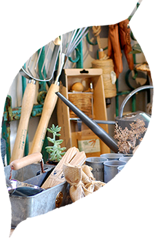 スワローテイル ガーデン